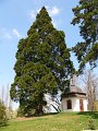Godollo - Kiralydombi pavilon-3